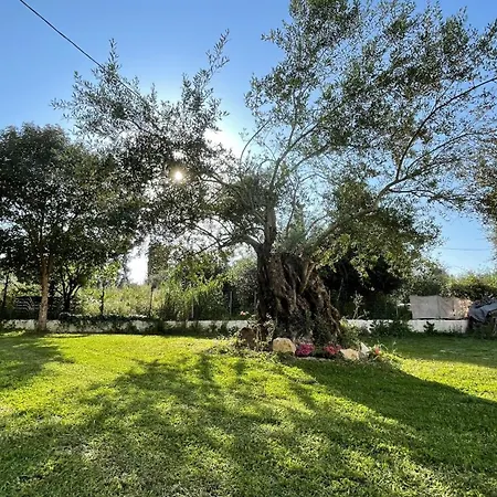 Kavos Aparthotel 3* Κάβος