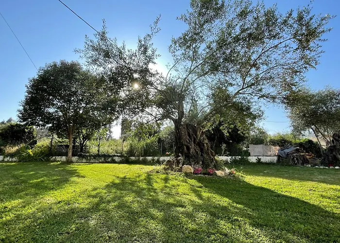 Kavos Aparthotel 3* Kávos